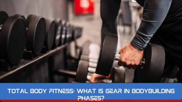 Total Body Fitness: What is Gear in Bodybuilding Phases?