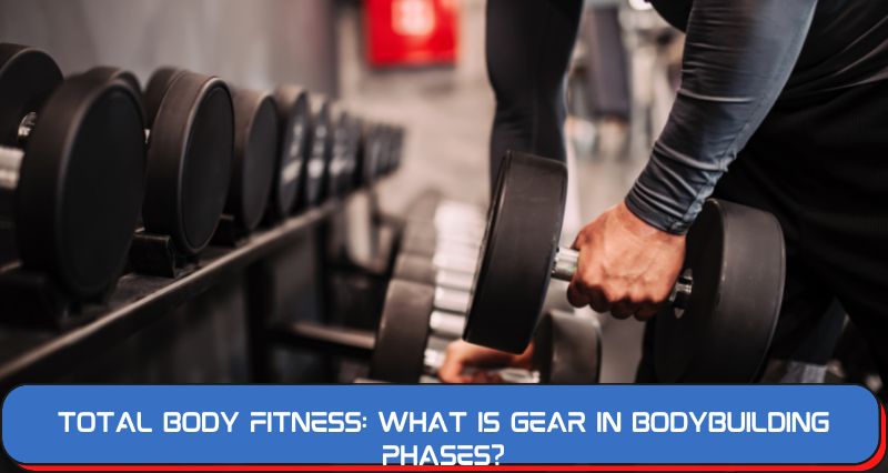 Total Body Fitness: What is Gear in Bodybuilding Phases?