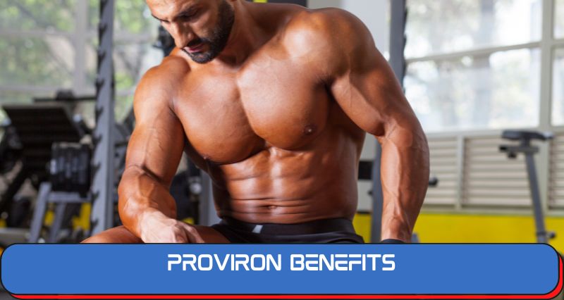 Proviron Benefits